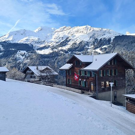 Traditional Chalet In Wengen - Top Floor Apartman Kültér fotó