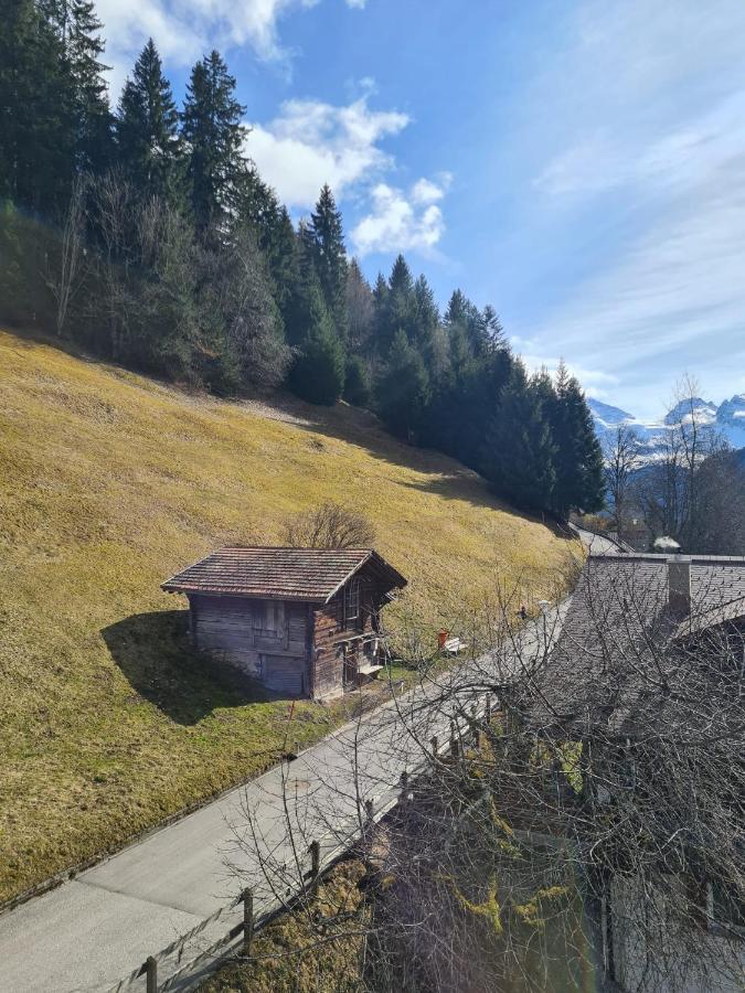 Traditional Chalet In Wengen - Top Floor Apartman Kültér fotó