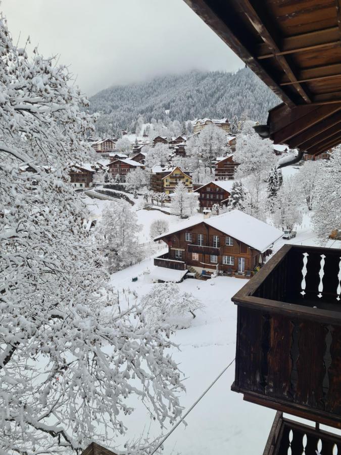 Traditional Chalet In Wengen - Top Floor Apartman Kültér fotó