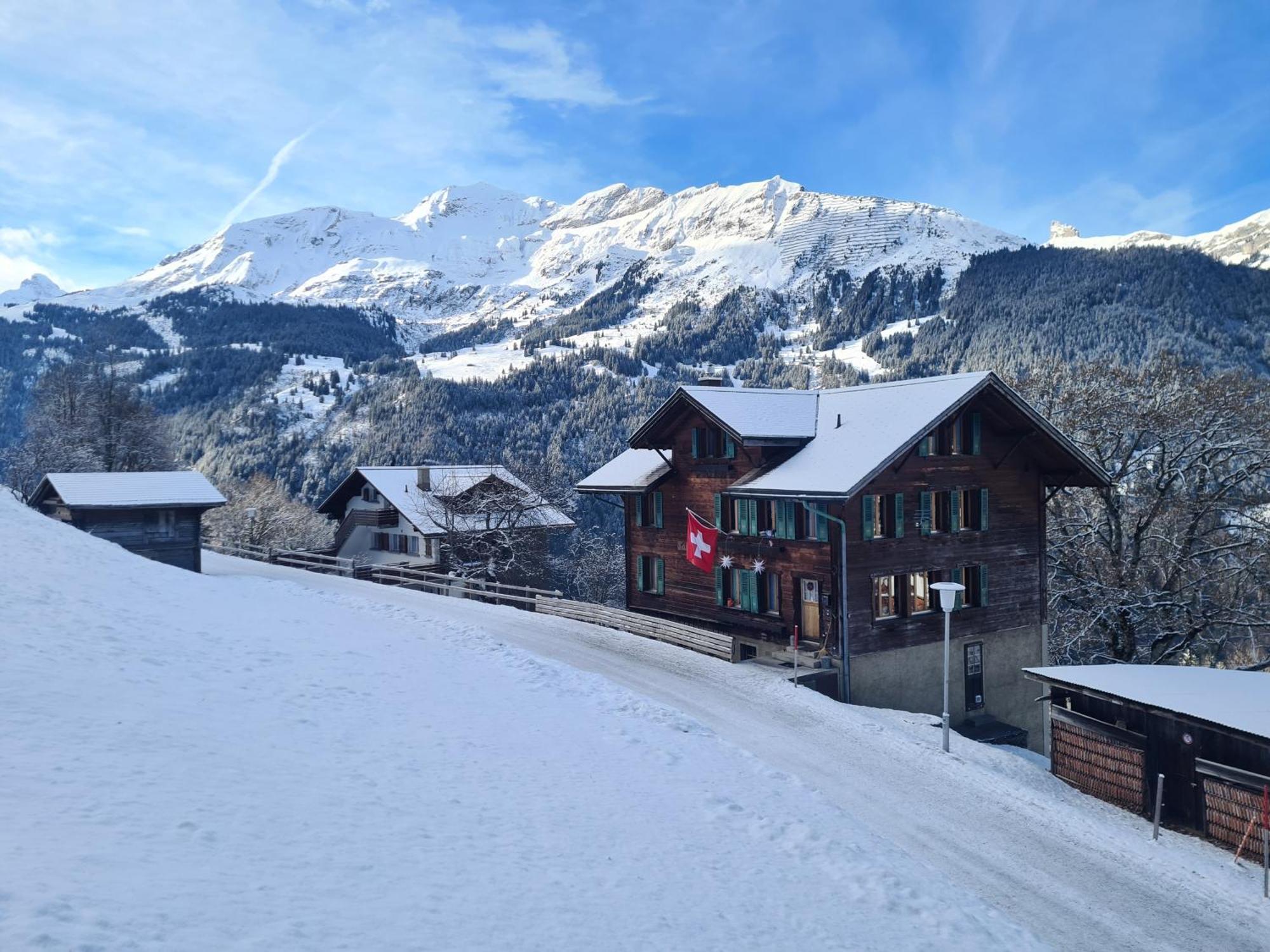 Traditional Chalet In Wengen - Top Floor Apartman Kültér fotó