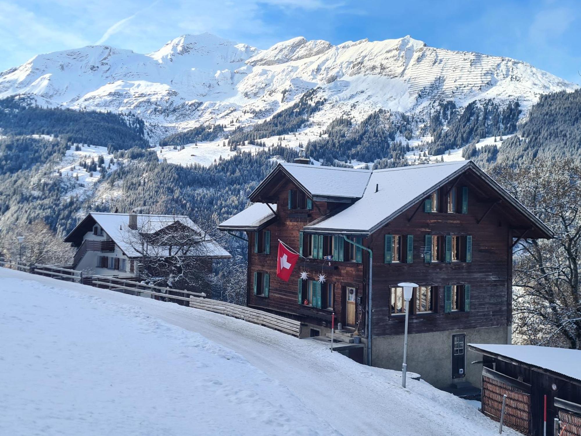 Traditional Chalet In Wengen - Top Floor Apartman Kültér fotó